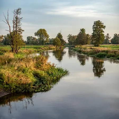 Liw Apartment Węgrów