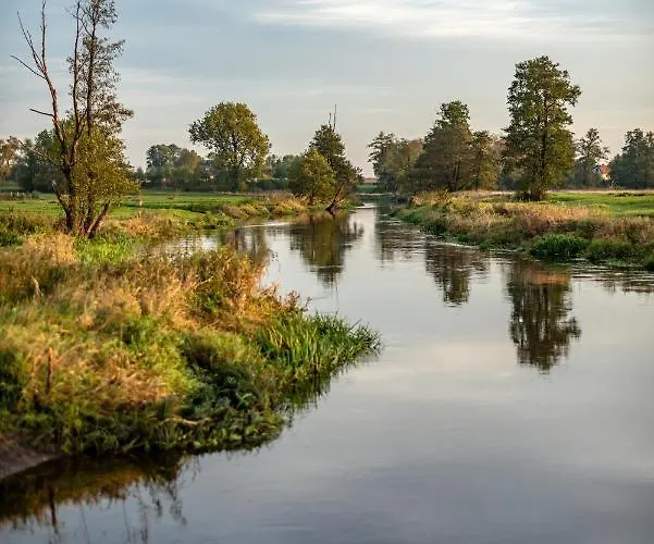 Mieszkania Na Liw Apartament Węgrów